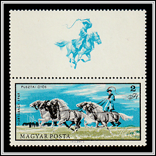 Puszta-style Training for Five-horse Wagon