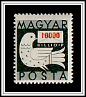 Dove & Letter