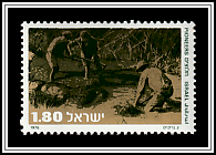 Planting Trees