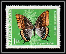 Two-tailed Pasha (Charaxes jasius)