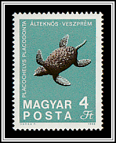 Fossilized Turtle (Placochelys placodonta) from Veszprém
