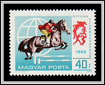Show Jumping