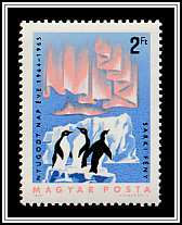 Antarctica; Aurora, Iceberg, Adélie Penguin (Pygoscelis adeliae)