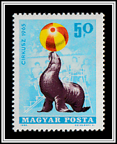 Sea Lion with Ball