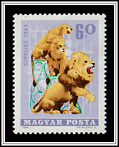 Lions