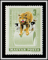 Panther and Dogs