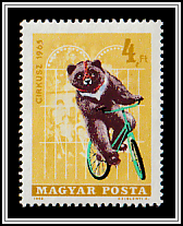 Bear on a Bike