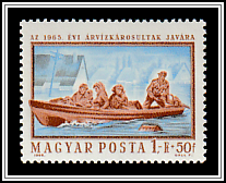 Danube Flood Relief
