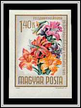 Lilies (Lilium sp.)