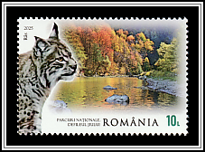 Lynx (Lynx lynx)