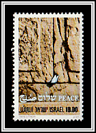 Paper in Western Wall