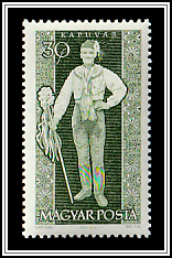 Kapuvár Man