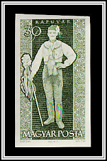 Kapuvár Man