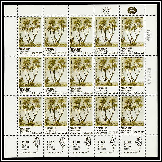 Dum Palms, Emeq Ha-Avara
