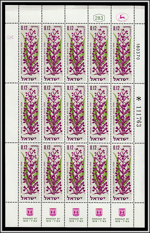 Lax-flowered Orchid (Anacamptis laxiflora)