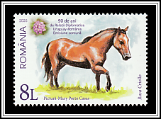 Creole Horse, Uruguay