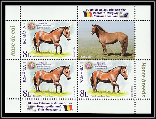 Creole Horse, Uruguay