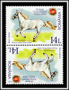 Lippizaner Horse, Romania Tête-bêche Type I