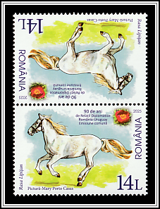 Lippizaner Horse, Romania Tête-bêche Type II