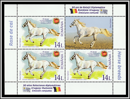 Lippizaner Horse, Romania