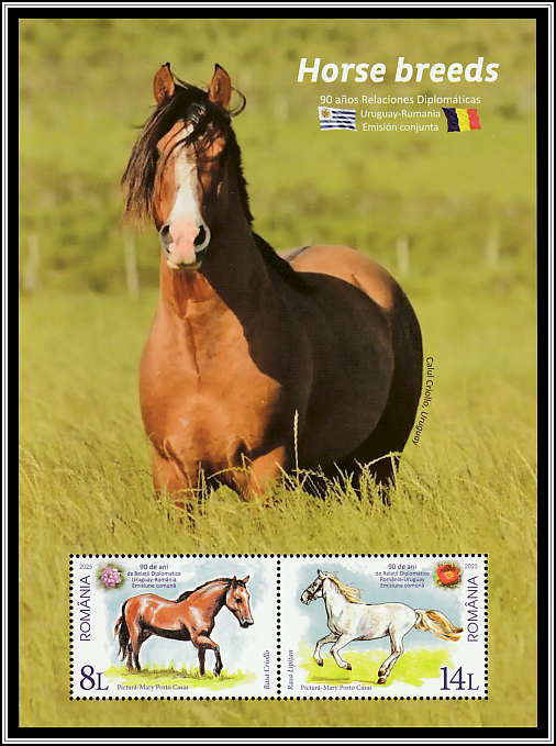 Creole Horse, Uruguay and Lippizaner Horse, Romania