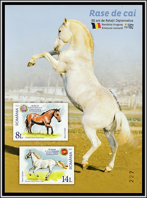 Creole Horse, Uruguay and Lippizaner Horse, Romania