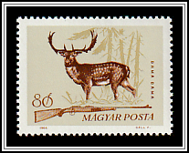 Fallow Deer (Dama dama)