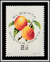Elberta Peach