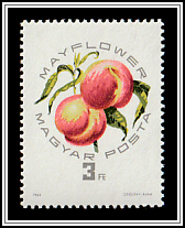 Mayflower Peach