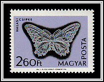 Butterfly Pattern