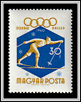 Cross-country Skiing