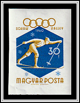 Cross-country Skiing