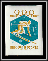 Alpine Skiing