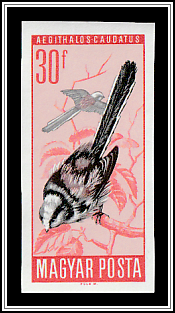 Longtailed Tit (Aegithalos caudatus)