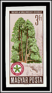 Conifers and Association Emblem