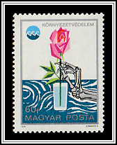 Polluted Drinking Water - Skeletal Hand and Flower