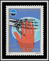 Skeletal Hand, Globe, Healthy Hand