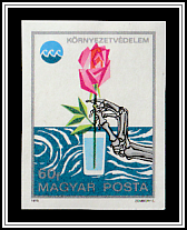 Polluted Drinking Water - Skeletal Hand and Flower