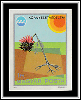 Polluted Soil - Wilted Flower