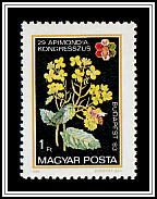 Bee and Flowers