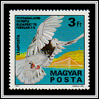 Carrier Pigeon, Gellért Hill, Erzsébet Bridge