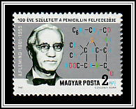 Fleming, Lysozyme Molecule