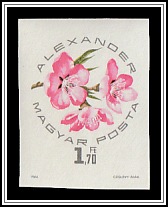Alexander Apricot Blossom