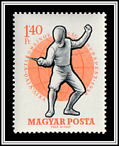 Foil Fencer in Basic Position