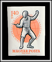 Foil Fencer in Basic Position